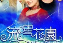 【乐玩LEWIN】2001国剧《流星花园》全集 HD1080P 迅雷下载-乐玩真人线上娱乐