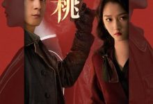 【乐玩LEWIN】2023国剧《梅花红桃》更至12集.HD1080P.国语中字-乐玩真人线上娱乐