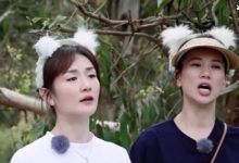 【乐玩LEWIN】说她看不懂简体？袁咏仪五个字回应这是高情商-乐玩真人线上娱乐