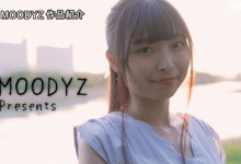 【乐玩LEWIN】长谷川礼奈(長谷川礼奈)出道作品番号及封面,长谷川礼奈个人简介-乐玩真人线上娱乐