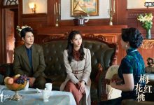 【乐玩LEWIN】孙俪也在追《梅花红桃》，田雷新剧《梅花红桃》剧情简介-乐玩真人线上娱乐