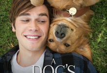 【乐玩LEWIN】2017美国喜剧《一条狗的使命》HD1080P 英语中字-乐玩真人线上娱乐