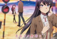 【乐玩LEWIN】剧场版《青春猪头少年不会梦到红书包女孩》主视觉图公开-乐玩真人线上娱乐