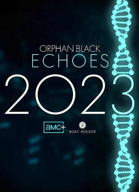 2023美剧《黑色孤儿：回响》全集 HD1080P 迅雷下载