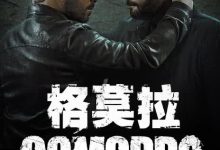 【乐玩LEWIN】2021意大利剧《格莫拉第五季》全集 HD1080P 迅雷下载-乐玩真人线上娱乐