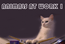 【乐玩LEWIN】2005英国纪录《动物打工记》全集 HD1080P 迅雷下载-乐玩真人线上娱乐