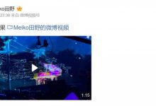 【乐玩LEWIN】Meiko分享看林俊杰演唱会视频:可惜没如果-乐玩真人线上娱乐