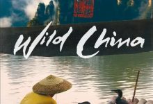 【乐玩LEWIN】2008高分纪录《美丽中国》全集 HD1080P 迅雷下载-乐玩真人线上娱乐