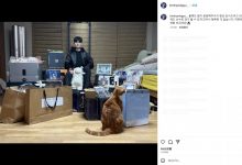 【乐玩LEWIN】Deft:感谢大家的应援~明年也能继续打比赛很幸福,希望大家开心-乐玩真人线上娱乐