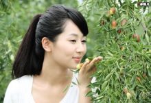 【乐玩LEWIN】杨紫商业销量堪忧代言三天卖了不到四百份，粉丝解释让人迷惑-乐玩真人线上娱乐