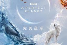 【乐玩LEWIN】2021BBC纪录《完美星球》HD1080P 迅雷下载-乐玩真人线上娱乐