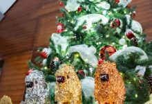 【EV扑克】APT河内丨Chu Van Tien 胜出破纪录越南国家杯;APT超级豪客赛、神秘赏金赛皆大破纪录-乐玩真人线上娱乐