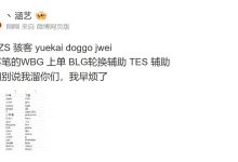 【乐玩LEWIN】涵艺深夜汇总爆料：TS和Meiko都没签 UP ZS 骇客 yuekai doggo jwei-乐玩真人线上娱乐