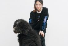 【乐玩LEWIN】一笔姐晒照：公司的大狗狗-乐玩真人线上娱乐