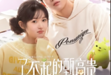 【乐玩LEWIN】2023国剧《了不起的甄高贵》全集 HD1080P 迅雷下载-乐玩真人线上娱乐