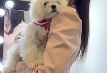 【乐玩LEWIN】解说灵儿晒照:呀~是yuki诶!太可爱了-乐玩真人线上娱乐