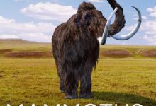 【乐玩LEWIN】冰河世纪：猛犸象的圣诞 2016德国纪录 HD1080P 迅雷下载-乐玩真人线上娱乐