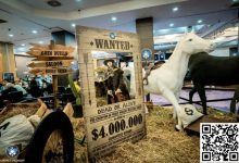 【EV扑克】中国军团雄起 廉想、赵刚等13人闯入Merit Poker主赛Day3-乐玩真人线上娱乐