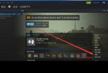 【乐玩LEWIN】吃鸡数据黑号怎么防顶号,数据黑防顶号教程!-乐玩真人线上娱乐