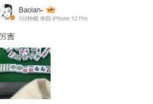 【乐玩LEWIN】新年娱乐?Baolan分享麻将七对感慨:厉害-乐玩真人线上娱乐