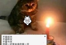 【乐玩LEWIN】G2整活EDG：2021的冰岛陪练故事，算了不提了…我进MSI了！-乐玩真人线上娱乐