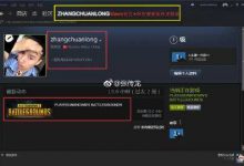 【乐玩LEWIN】绝地求生刺激战场辅助新推出的激光瞄准镜实用吗-乐玩真人线上娱乐