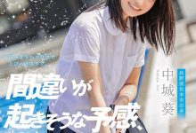 【乐玩LEWIN】中城葵 作品SDAB-114介绍及封面预览-乐玩真人线上娱乐