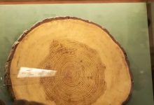 大发体育-我击中它很多次,它就倒下了”,大发助力你的致富之路!-乐玩真人线上娱乐