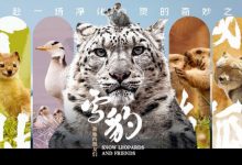 【乐玩LEWIN】“电影伴随成长,光影筑梦远方”——纪录片《雪豹和她的朋友们》走进青海校园-乐玩真人线上娱乐