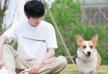 【乐玩LEWIN】登场KPL六周年 一诺更博致谢：感谢始终支持和陪伴我的粉丝朋友们-乐玩真人线上娱乐