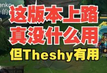 【乐玩LEWIN】水晶哥：这版本上路真没什么用，但Theshy有用-乐玩真人线上娱乐