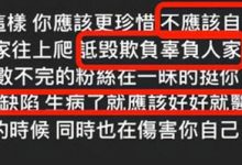 【乐玩LEWIN】关颖家庭背景资料被扒， 关颖老公是谁有几个孩子-乐玩真人线上娱乐