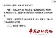 【乐玩LEWIN】电影《平原上的火焰》为什么撤档了? 撤档背后是有隐情吗-乐玩真人线上娱乐