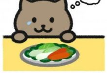 【乐玩LEWIN】毛毛更博:胖猫的事看的我过于心疼了 看完心里都堵堵的-乐玩真人线上娱乐