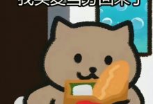 【乐玩LEWIN】胖猫花51万后自杀事件微博时间线整理 胖猫姐姐辟谣网传花了180万-乐玩真人线上娱乐