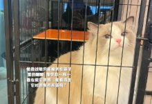 【乐玩LEWIN】H4cker和妻子晒甜蜜合照：可爱的五一~-乐玩真人线上娱乐