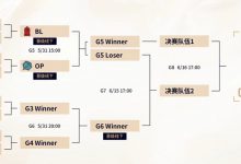 【乐玩LEWIN】这票不得卖疯了！Ning队晋级胜决 无论输赢都能打线下赛-乐玩真人线上娱乐