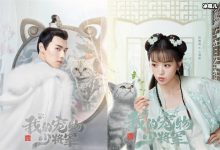 【乐玩LEWIN】我的宠物少将军讲什么故事? 这部甜宠剧为何口碑这么好-乐玩真人线上娱乐