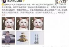 【乐玩LEWIN】张柏芝谢霆锋王菲是什么关系? 为什么张柏芝老爱撒谎-乐玩真人线上娱乐