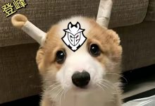 【乐玩LEWIN】看到登峰组/涅槃组的组名后,G2:好像都是兔宝的故事-乐玩真人线上娱乐