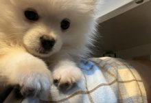 【乐玩LEWIN】Photic赛后更博:拿下收官战很开心 组内赛我们会继续加油的-乐玩真人线上娱乐