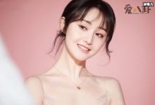 【乐玩LEWIN】郑爽被曝已录好退圈声明, 郑爽的最后一次现身大荧幕?-乐玩真人线上娱乐