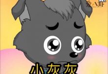 【乐玩LEWIN】迷路的小灰灰是什么梗/ 迷路2年的小狼崽还没找到家-乐玩真人线上娱乐