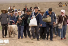 【乐玩LEWIN】《山海情》豆瓣高达9.1分, 一部朴素的扶贫剧为何这么好看-乐玩真人线上娱乐