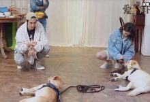 【乐玩LEWIN】萧亚轩被狗咬伤脸部, 疑似与男友在家互殴-乐玩真人线上娱乐