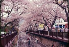 【乐玩LEWIN】走花路是什么意思?这个词语是怎样在饭圈流行起来的-乐玩真人线上娱乐