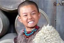 【乐玩LEWIN】郝汉个人资料, 功夫童星原来与这么多大牌明星合作过-乐玩真人线上娱乐