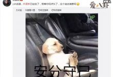 【乐玩LEWIN】林更新否认出演默读 果然是辟谣最前线文案太搞笑了-乐玩真人线上娱乐