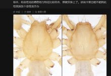 【乐玩LEWIN】姜文、李时珍命名蜘蛛还不够!中国科学家用游戏怪物命名新物种-乐玩真人线上娱乐