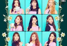 【乐玩LEWIN】韩女团gugudan宣布解散, 网友:一手好牌被打的稀巴烂-乐玩真人线上娱乐